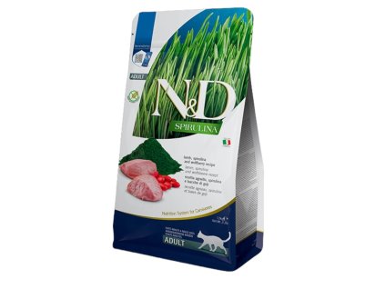 Photoroom 20250228 164659