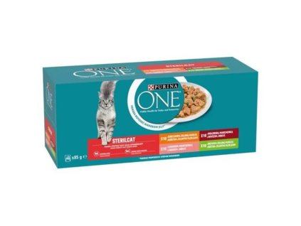 OBC025694 1740404538