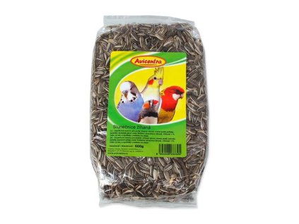 OBC026629 1765192629