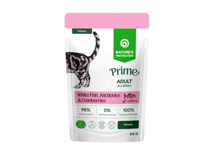 OBC026501 1765533556