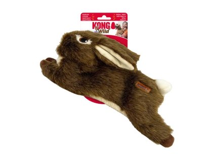 OBC026572 1770022079