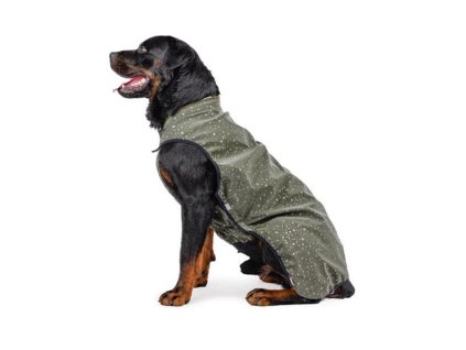 OBC023989 1694688200