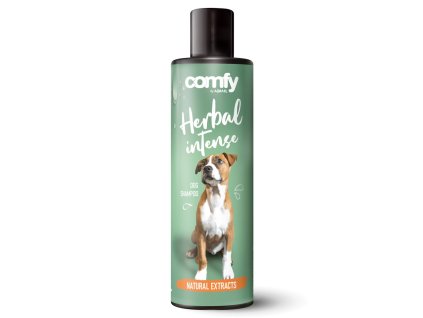 1033573514536596287 1 999 dystrybucja 990335136