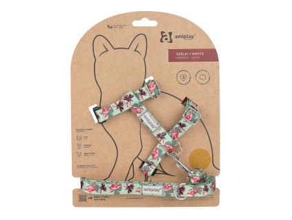 4212787798296262265 1 999 dystrybucja 384157240