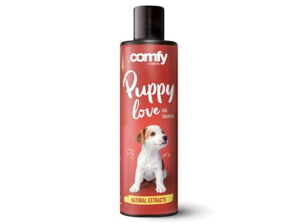 4954489778021344401 1 999 dystrybucja 748357414