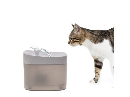 5202824439538042285 1 999 dystrybucja 605280706