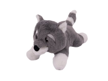 5423046635405176680 1 999 dystrybucja 1072585991