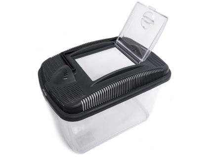 6176976031614152454 1 999 dystrybucja 981981729