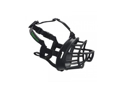 OBC021501 1642072947