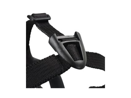 OBC021503 1642073406