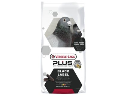 OBC025960 1753872954