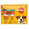 Mars PEDIGREE kapsička dog ADULT Multipack hovädzie & hydinové mäso v želé 4 x 100 g