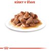 royal canin sterilised v stave 12 x 85 g 9003579311295 004