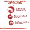 royal canin instinctive v stave 12 x 85g 9003579308738 003