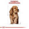 royal canin cocker spaniel puppy 3 kg 3182550813211 006