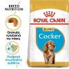 royal canin cocker spaniel puppy 3 kg 3182550813211 002