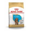 royal canin cocker spaniel puppy 3 kg 3182550813211 001