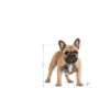 royal canin french bulldog adult granule pre dospelych psov plemena francuzsky buldog od 12 mesiacov 78
