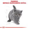 royal canin kitten british shorthair 400 g 3182550816526 005
