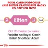 royal canin kitten british shorthair 400 g 3182550816526 002