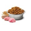 farmina n d lg ancestral cat adult pomegranate and chicken 1500 g 8010276021571 1