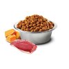 farmina n d grain free pumpkin cat duck and cantaloupe melon 300 g 8010276035356 1