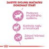 royal canin kitten sterilised 400 g 3182550805155 004