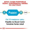 royal canin yorkshire terrier puppy 1500 g 3182550743471 5