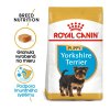 royal canin yorkshire terrier puppy 1500 g 3182550743471 1