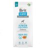 Brit Care dog Grain free Junior Large Breed 12 kg 8595602558865