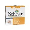 Schesir cat tuniak a aloe v zele 85g