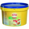 ASTRA TEICH STICKS 3l/ 360g plávajúce peletové krmivo