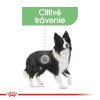 royal canin medium digestive care granule pre dospelych psov strednych plemien s citlivym travenim 486