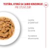 royal canin ageing 11 jelly kusky v zele pre starnuce macky starsie ako 11 rokov 14