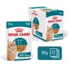 royal canin ageing 11 jelly kusky v zele pre starnuce macky starsie ako 11 rokov 11