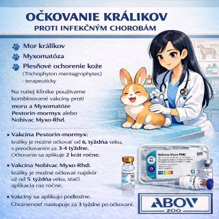 🐰 Očkovanie králikov je základ prevencie závažných ochorení. Chráňte svojho králika pred nebezpečnými infekčnými...