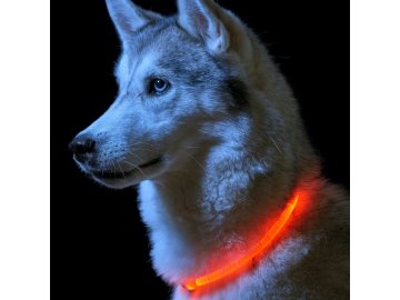 LED svítící obojek/kruh pro psy 50cm