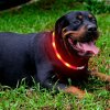 LED svítící obojek/kruh pro psy 50cm