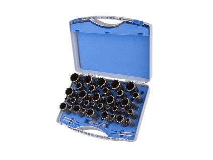 201361 |Kernbohrer GOLD-DRILL LINE 30 SET DELUXE, WELDON 12-50 mm, Set 39 Stück