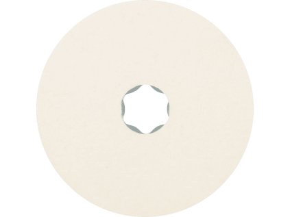 316241 42003005 felt disc cc fr 100