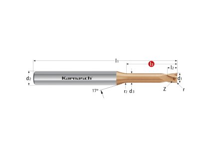 306267030002008 | Tvrdokovová zápustková fréza se zaobleným ostřím 3,0/0,20x8-60x6 mm, Z=4