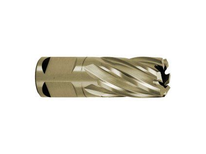 107204 3 hss 19x25 gold