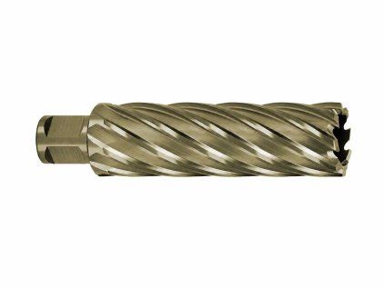 107522 4 hss 28x80 gold