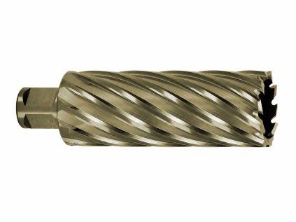 107540 4 hss 35x80 gold