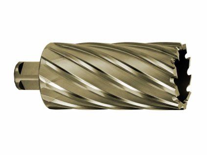 107555 4 hss 45x80 gold