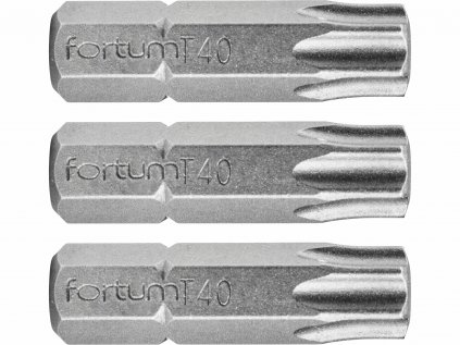 4741440 | Bit 1/4" pre skrutky s drážkou TORx T40x25 mm - balenie 3 ks