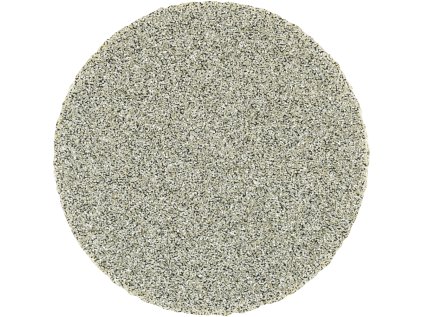 42740002 | ABRASIVE DISCS CD-DIA 25 D126 - P120