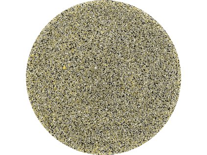 42758004 | ABRASIVE DISCS CDR-DIA 38 D251 - P 60