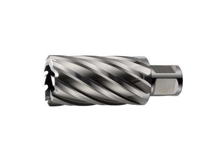 374019 hss 20 long