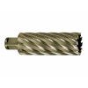 107540 4 hss 35x80 gold